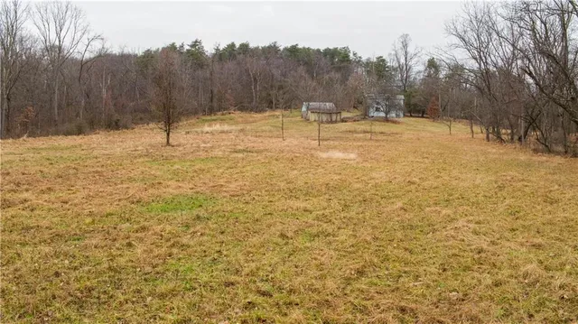 a view of empty space with trees
