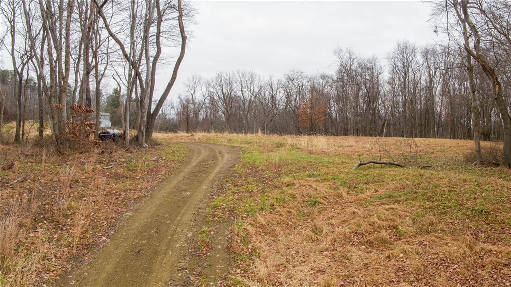 224 Indianola Road Cheswick, PA 15024 - Photo 14 of 17 a view of yard with trees