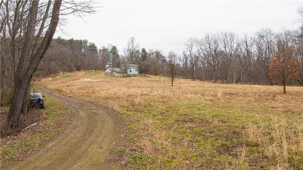 224 Indianola Road Cheswick, PA 15024 - Photo 15 of 17 a view of empty space with trees