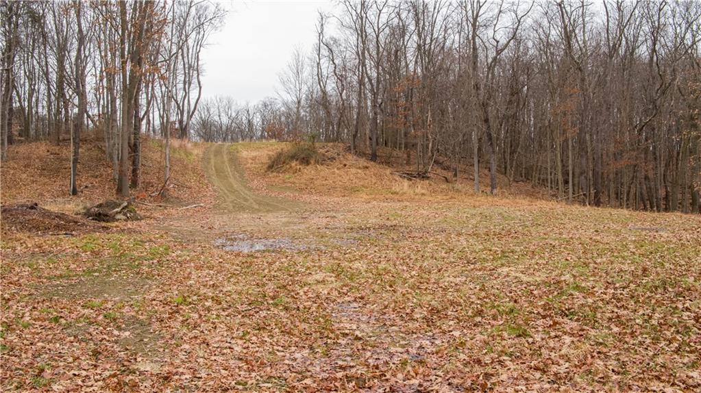 224 Indianola Road Cheswick, PA 15024 - Photo 16 of 17 a view of a yard with trees