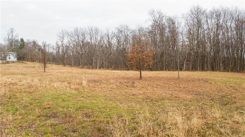 224 Indianola Road Cheswick, PA 15024 - Photo 17 of 17 a view of empty space with trees