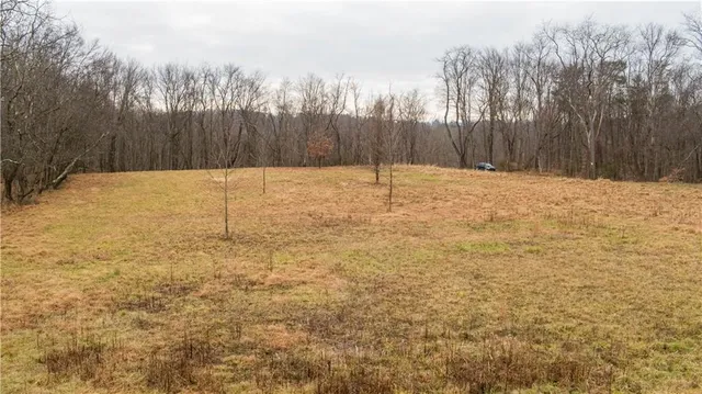 a view of yard with trees