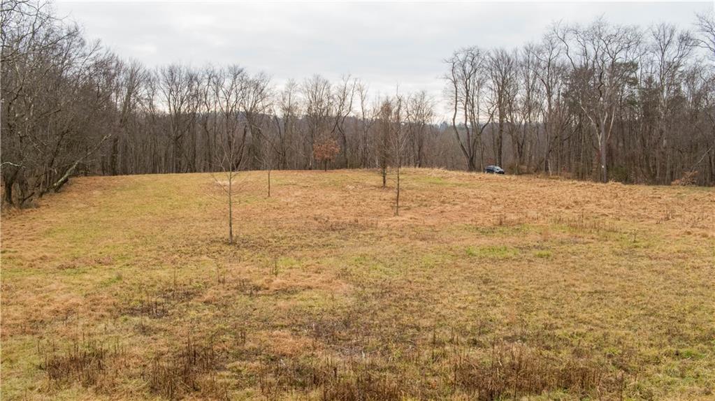 224 Indianola Road Cheswick, PA 15024 - Photo 10 of 17 a view of backyard space