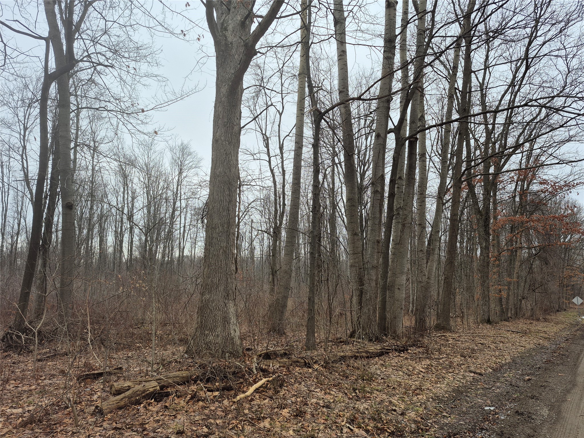 0 Rte 6n Street Albion, PA 16401 - Photo 7 of 8