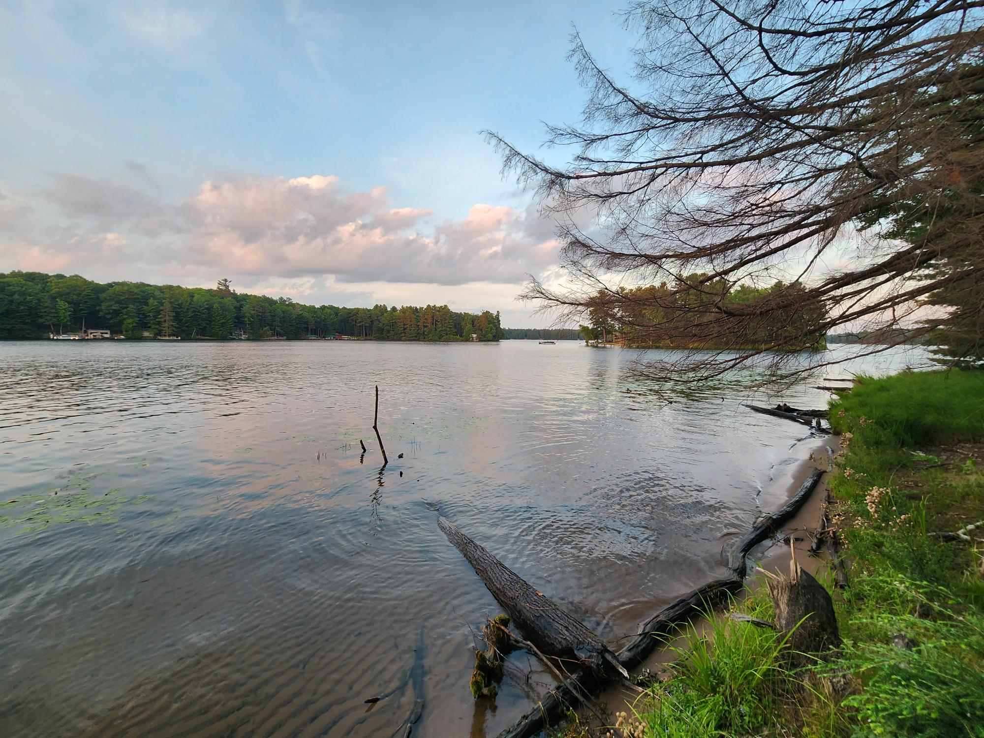 Lot 3 Big Ripley Island Minocqua, WI 54548 - Photo 15 of 20 Gallery Image 15