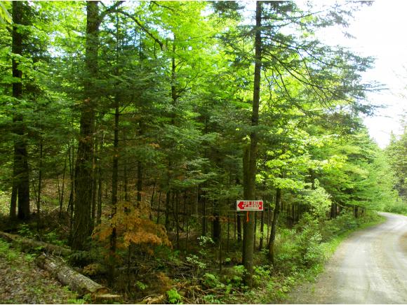 0 Twin Camps Road Morgan, VT 05853 - Photo 5 of 6