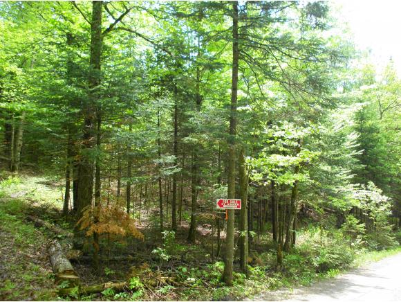 0 Twin Camps Road Morgan, VT 05853 - Photo 6 of 6