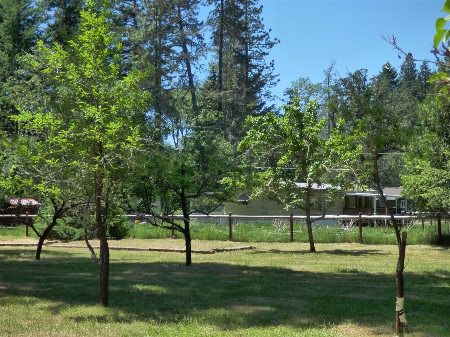 801 Hummingbird Road Cave Junction, OR 97523 - Photo 24 of 31 Additional Photo