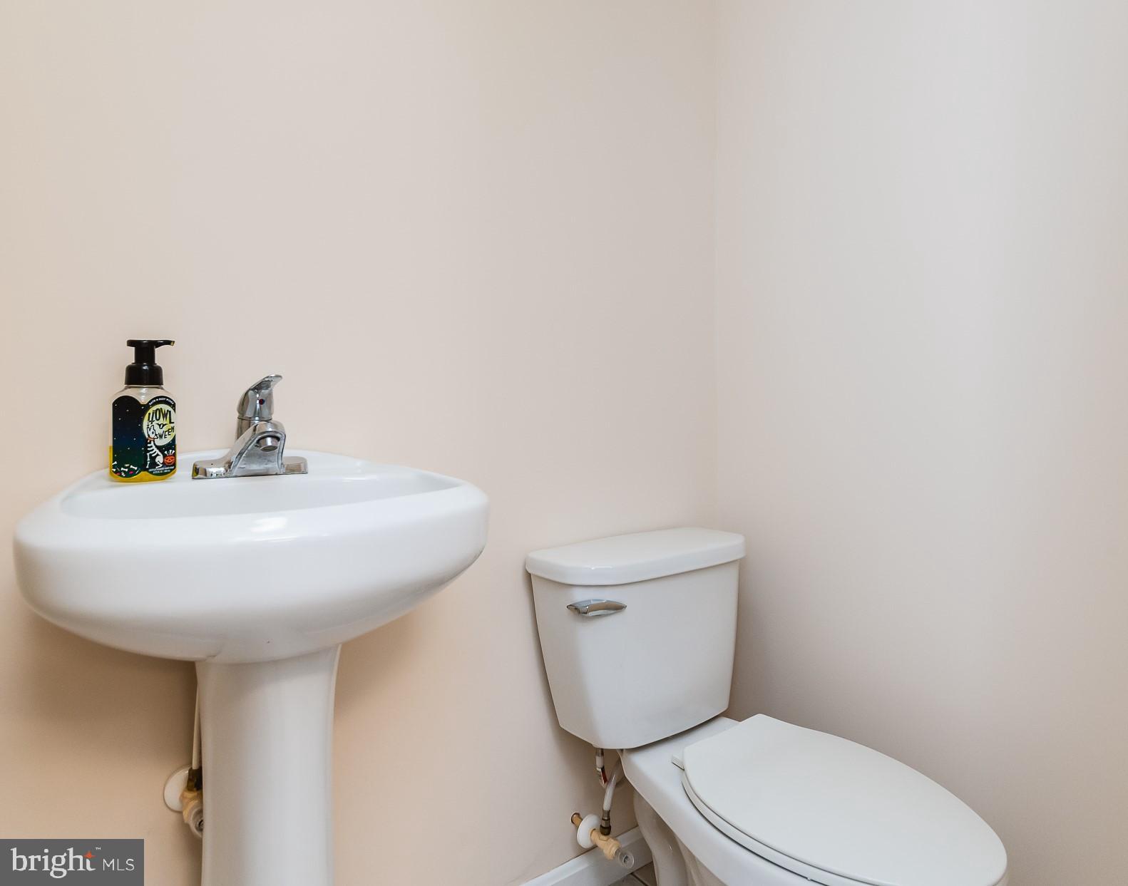 141 Corn Tassel Road Delta, PA 17314 - Photo 46 of 65 LL Powder Room