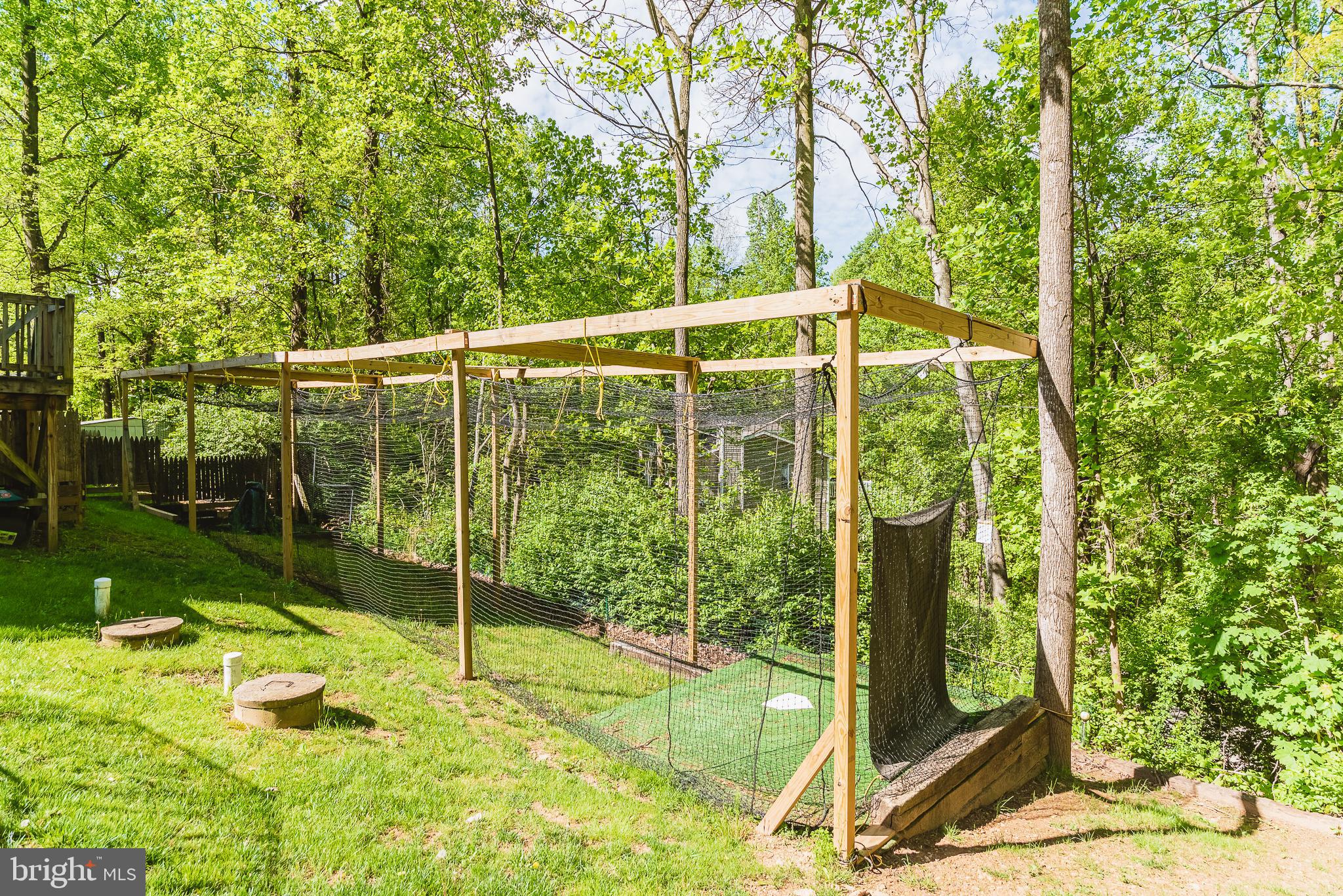 141 Corn Tassel Road Delta, PA 17314 - Photo 51 of 65 Batting Cage can stay or will be removed-your chc