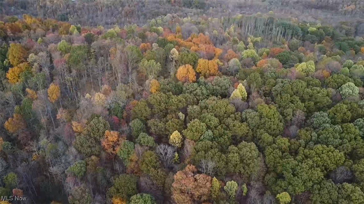 4277 Twin Sisters Road Cambridge, OH 43725 - Photo 19 of 27 Aerial view of property location featuring a forest
