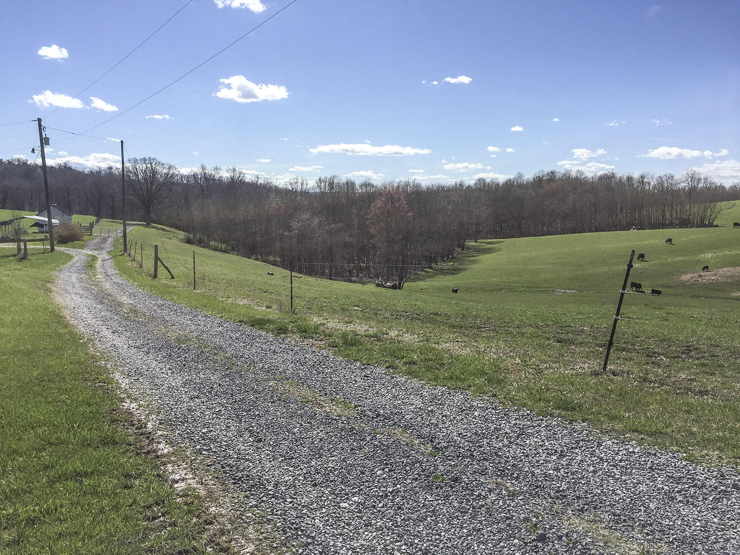Pine Grove Road Ballard, WV 24918 - Photo 8 of 31 Gallery Image 8