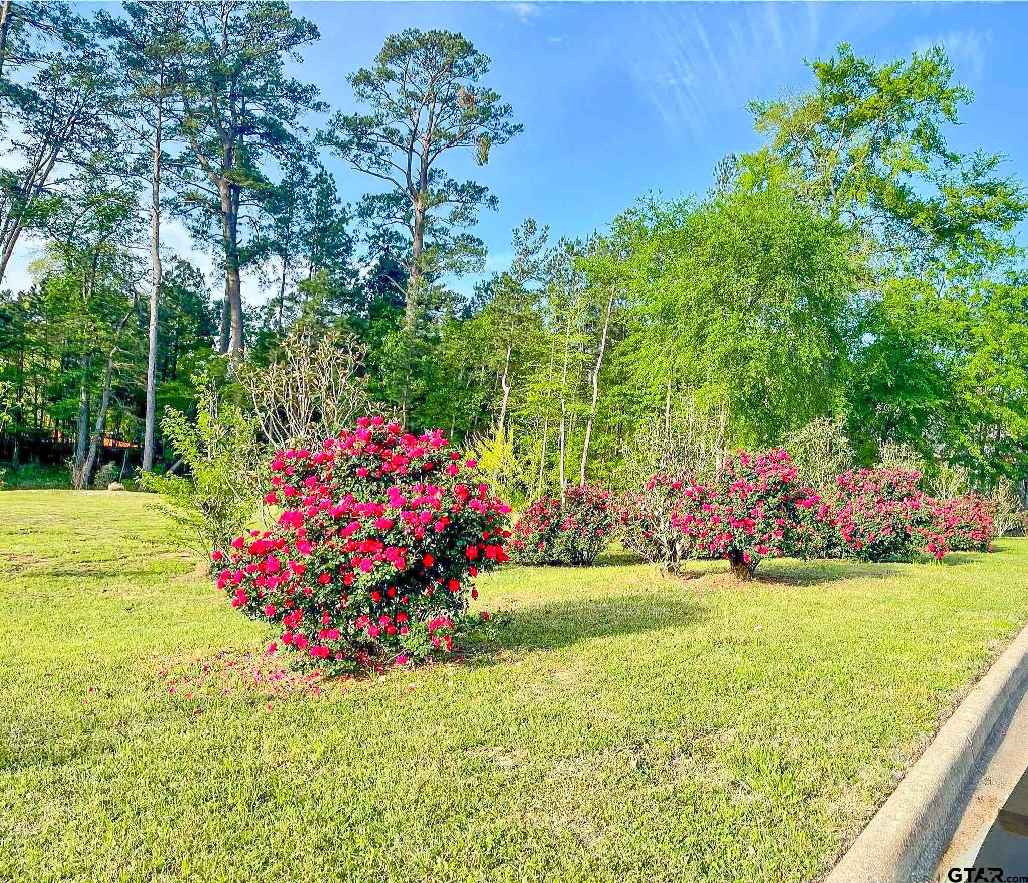 2198 Pinehurst Street Tyler, TX 75703 - Photo 6 of 12 a view of a garden with flowers and trees