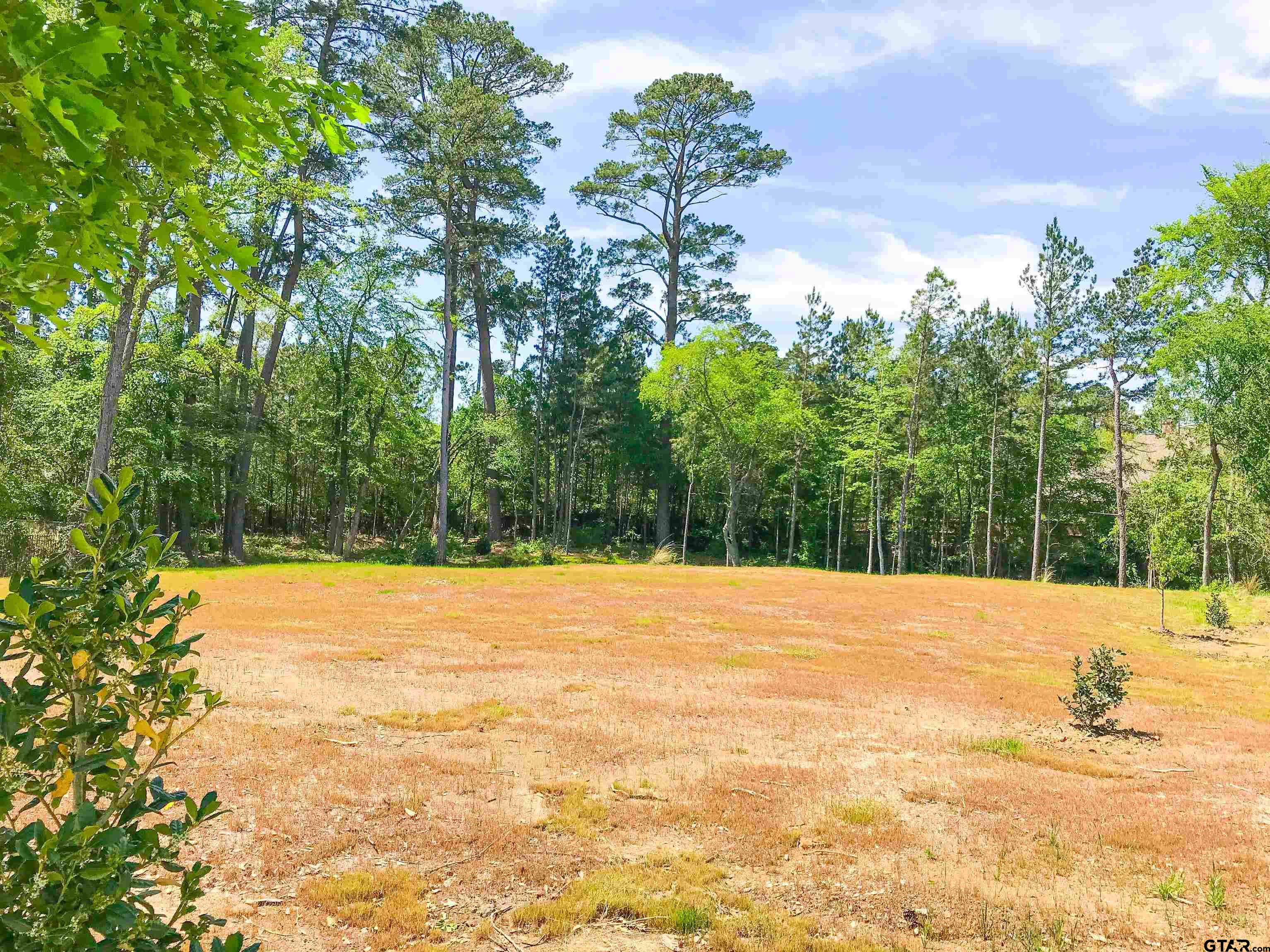 2198 Pinehurst Street Tyler, TX 75703 - Photo 8 of 12 a view of an outdoor space and a yard