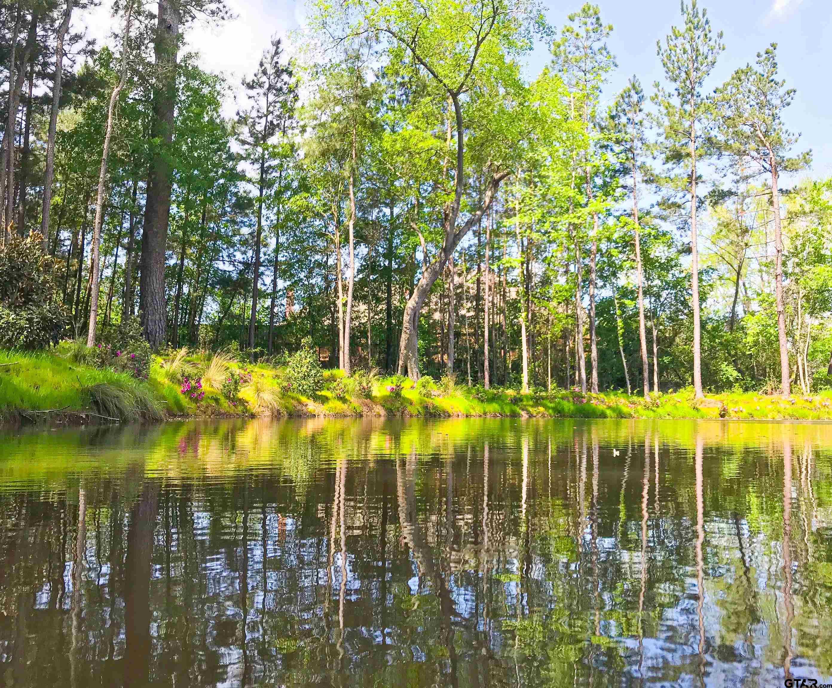 2198 Pinehurst Street Tyler, TX 75703 - Photo 9 of 12 a view of swimming pool from a garden