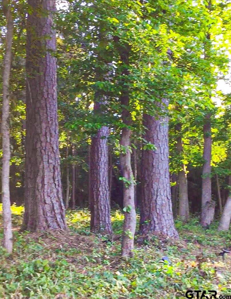 2198 Pinehurst Street Tyler, TX 75703 - Photo 10 of 12 a backyard of a house with table and chairs