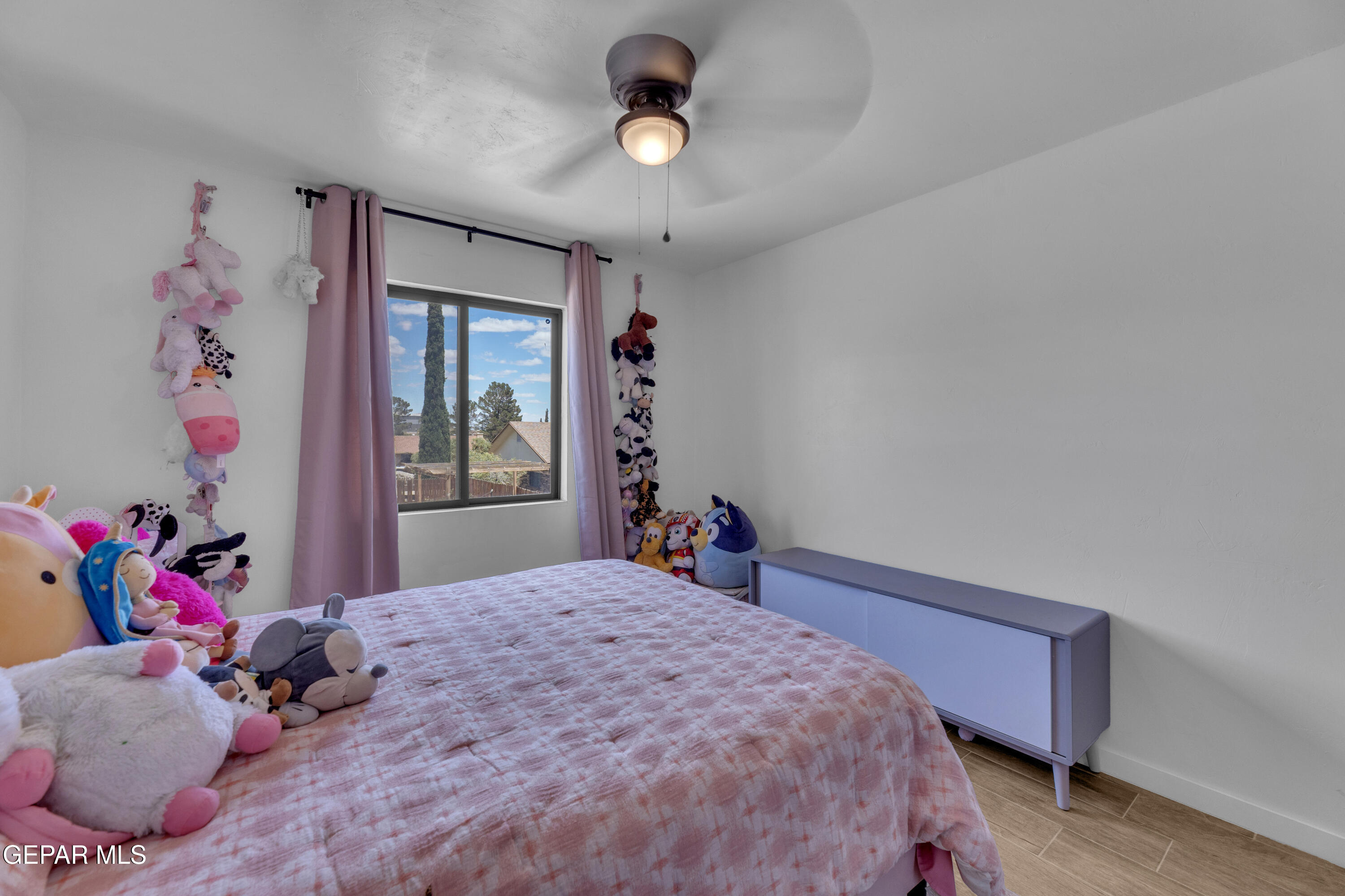 4505 R T Cassidy Drive El Paso, TX 79924 - Photo 29 of 49 4 (1)