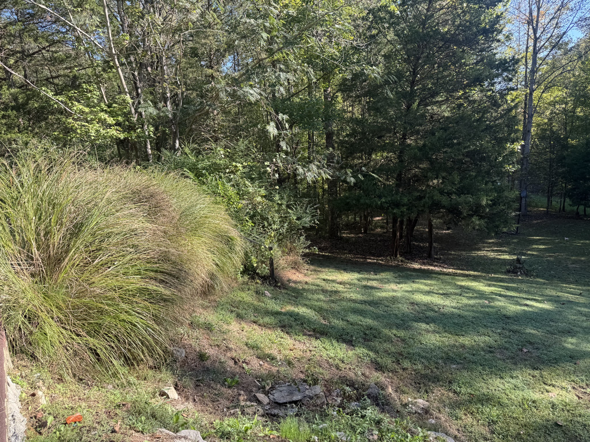 480 Hickman Shores Road Dover, TN 37058 - Photo 38 of 44 a backyard of a house with lots of green space