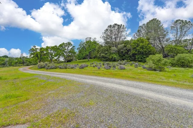 a big yard with lots of green space