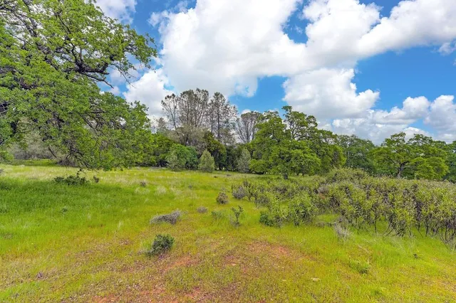 a view of a big yard with lots of green space