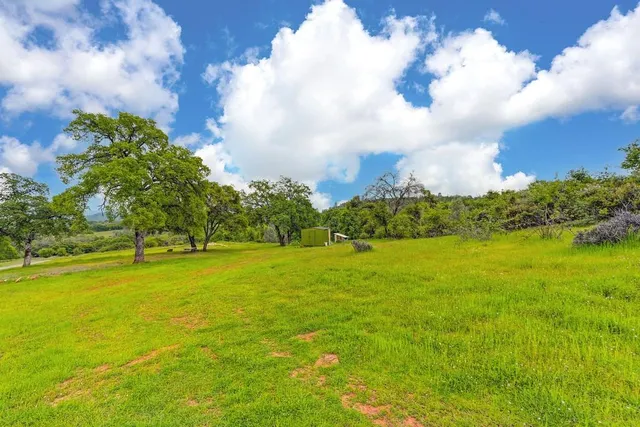 a view of yard with green space