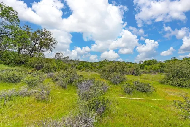 a view of a green field with lots of bushes