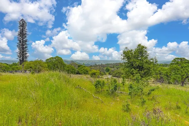 a view of a big yard with lots of green space