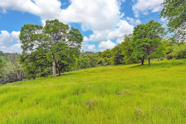 a view of a field of grass and trees