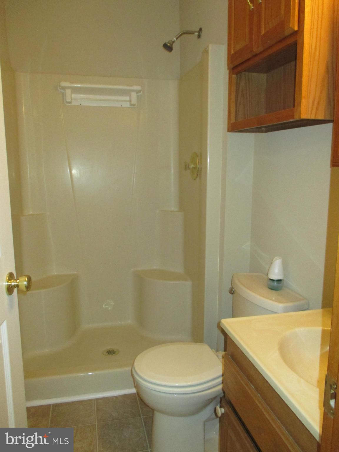 40 Marble Arch Road Colora, MD 21917 - Photo 12 of 18 Bath (Master)