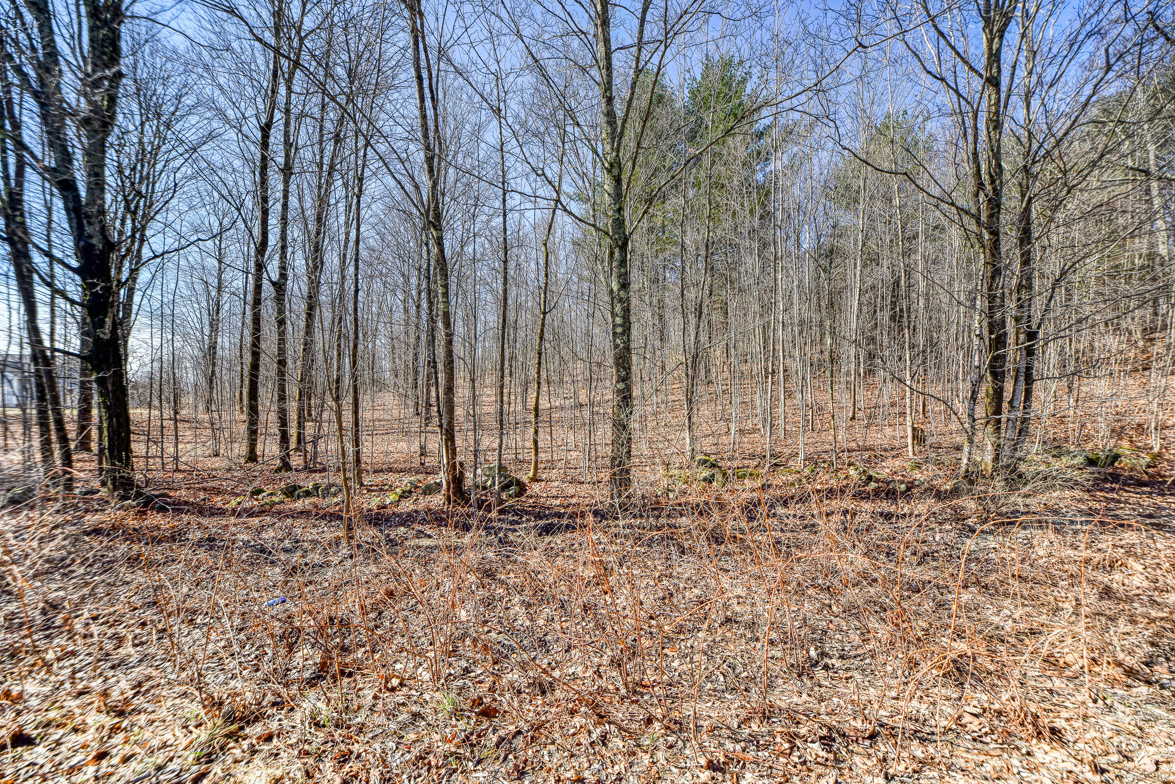 Lot 53-03 Langdon Road Richmond, ME 04357 - Photo 17 of 43 108695gr-102