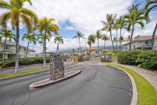 a view of a park with palm trees
