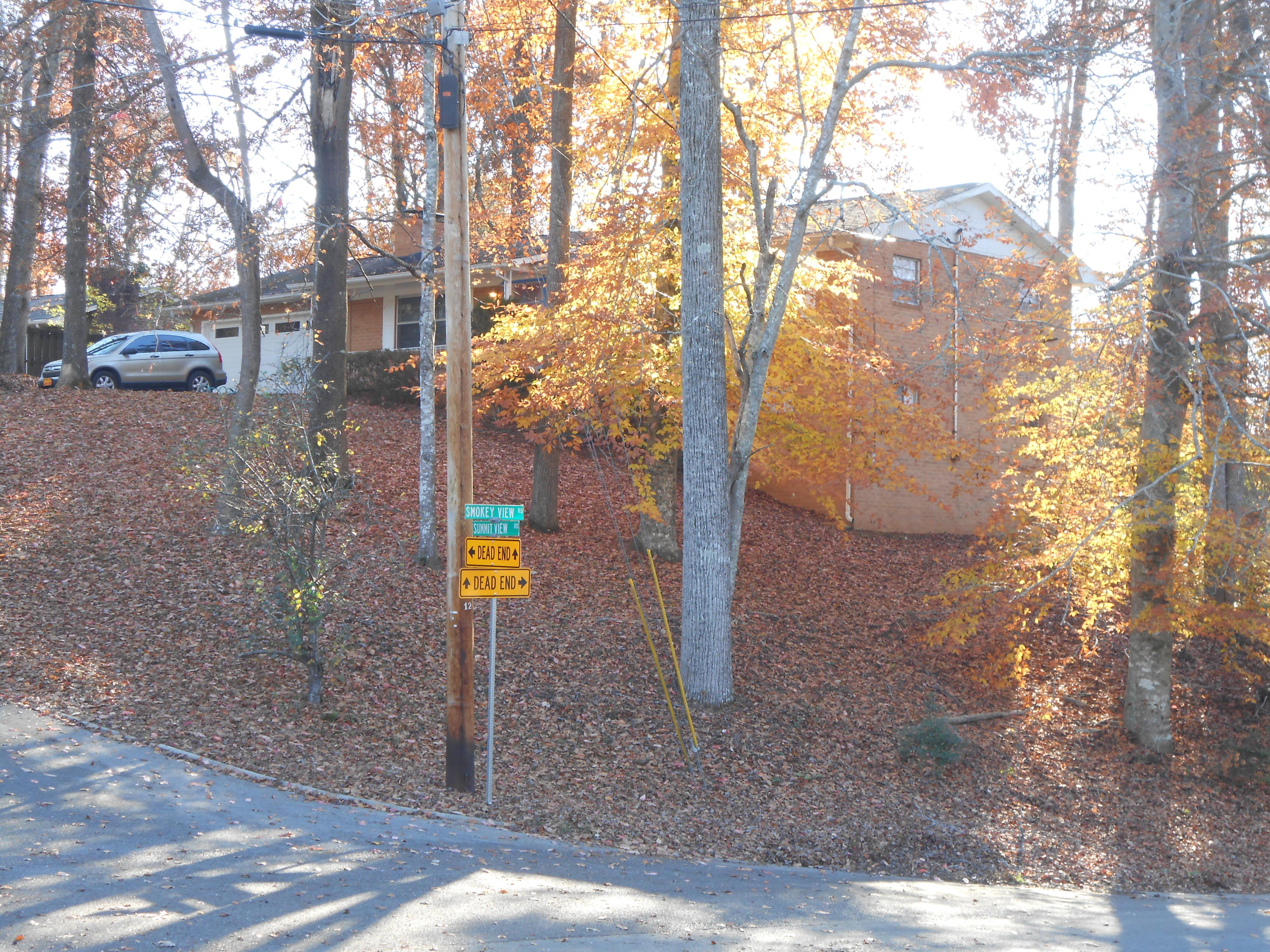 701 Summit View Road Knoxville, TN 37920 - Photo 2 of 14 R Side