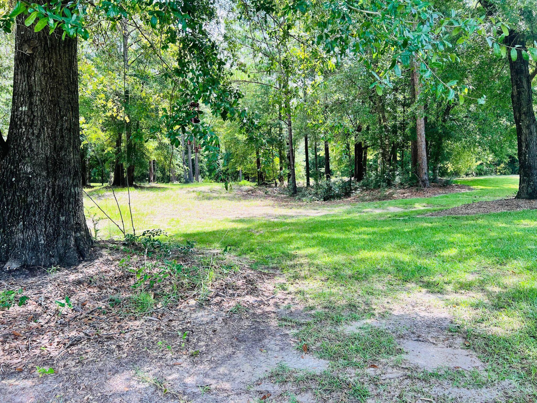 6389 Yellow River Ranch Road Florala, AL 36442 - Photo 23 of 30 a view of a yard with a tree