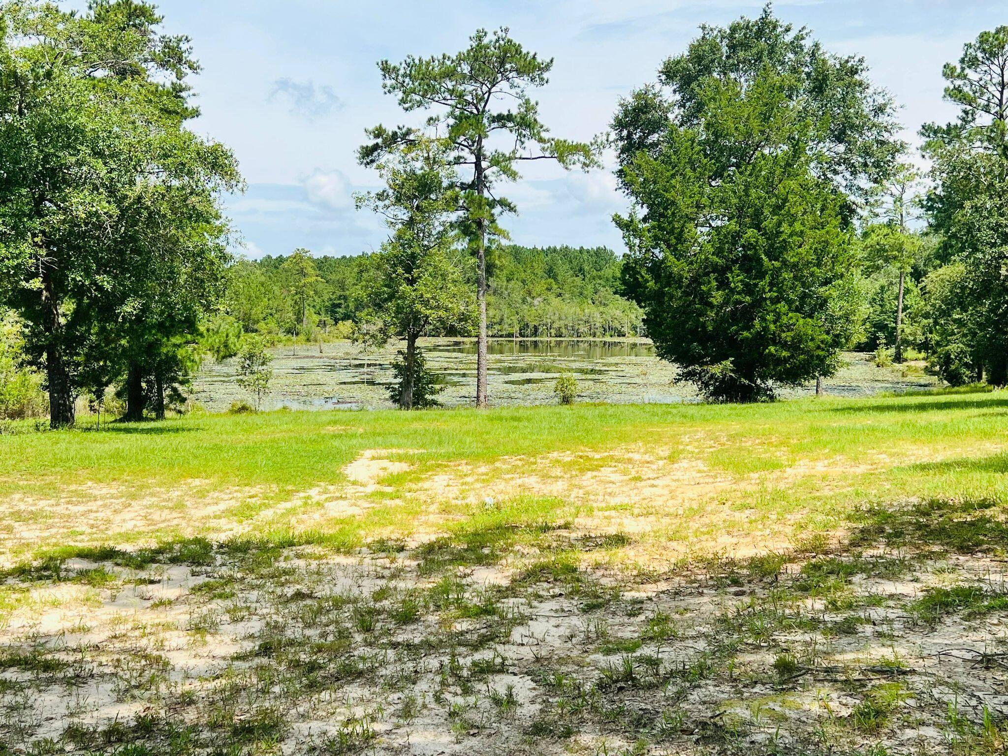 6389 Yellow River Ranch Road Florala, AL 36442 - Photo 25 of 30 a view of an ocean view