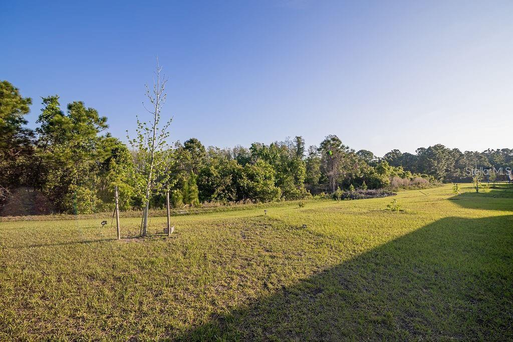 2937 Hooded Crane Cove Harmony, FL 34773 - Photo 28 of 58 a view of a big yard with an outdoor space and seating area