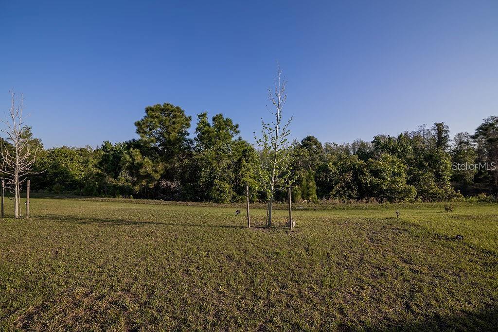 2937 Hooded Crane Cove Harmony, FL 34773 - Photo 29 of 58 a view of a green field with clear sky