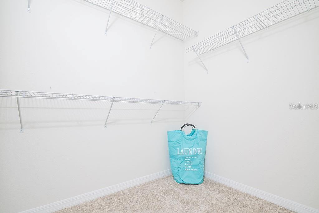 2937 Hooded Crane Cove Harmony, FL 34773 - Photo 35 of 58 a close up view of racks on the wall