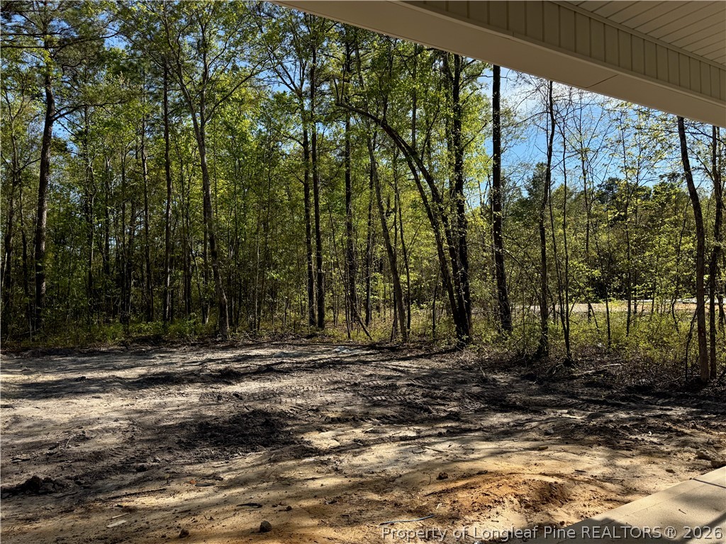 4918 Philippi Church Road Raeford, NC 28376 - Photo 31 of 41