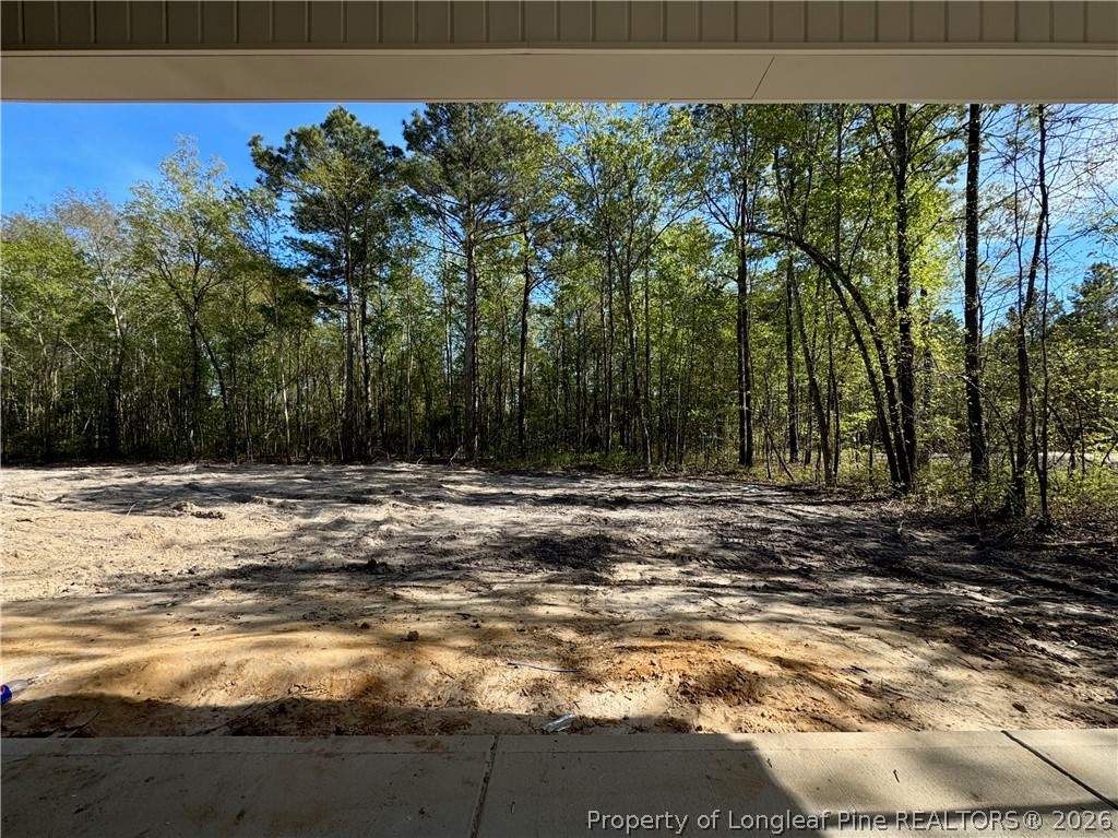 4918 Philippi Church Road Raeford, NC 28376 - Photo 32 of 41