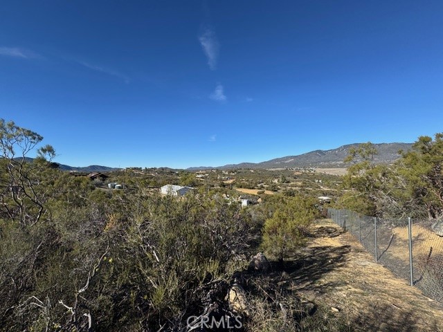 54740 Cave Rock Road Anza, CA 92539 - Photo 25 of 47 a view of a city with lush green forest