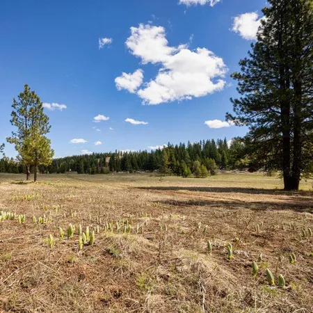 $650,000 | Lot 32 To Be Determined, Unit 32, McCall, ID 83638