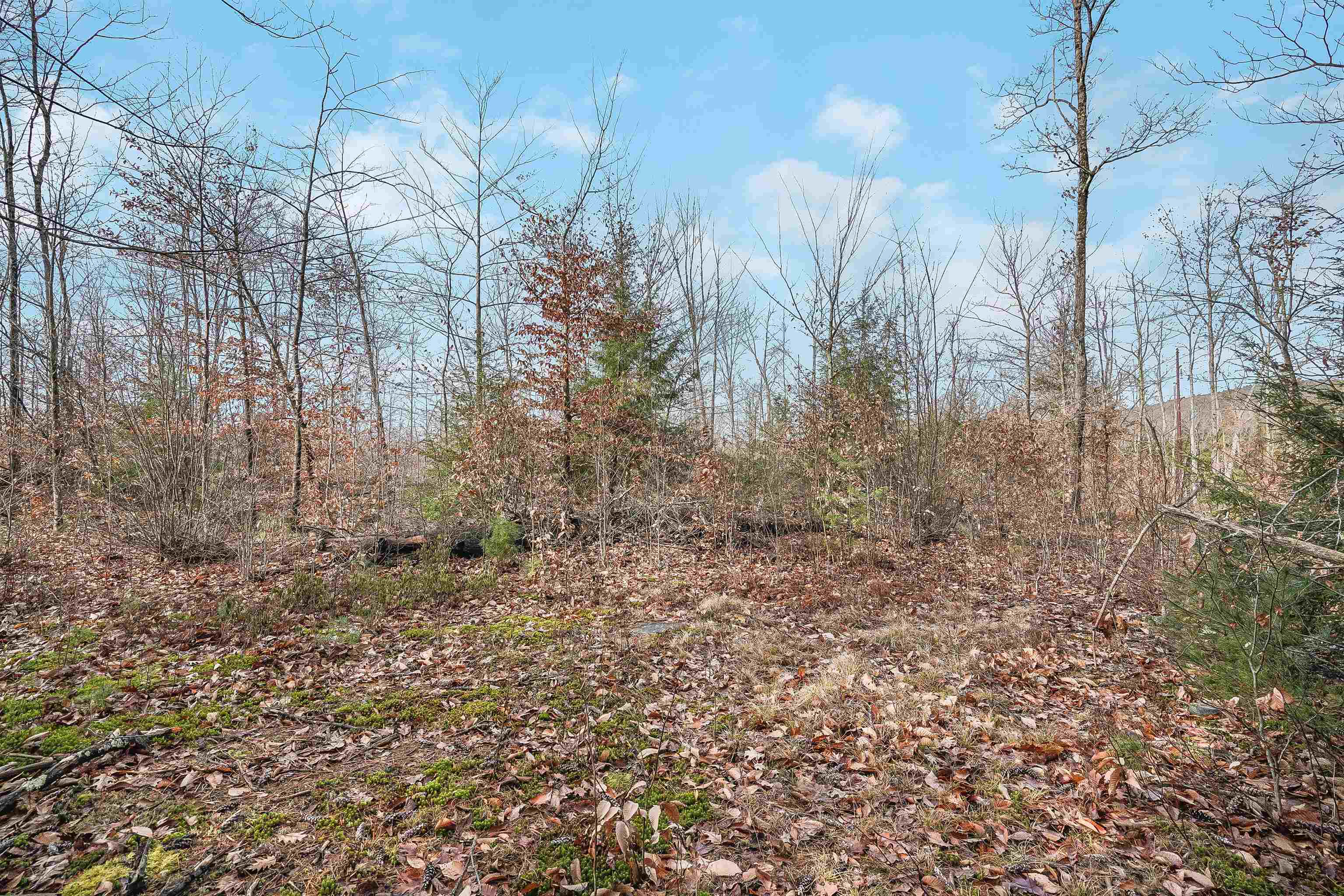 0 Merrill Road Candia, NH 03034 - Photo 6 of 33