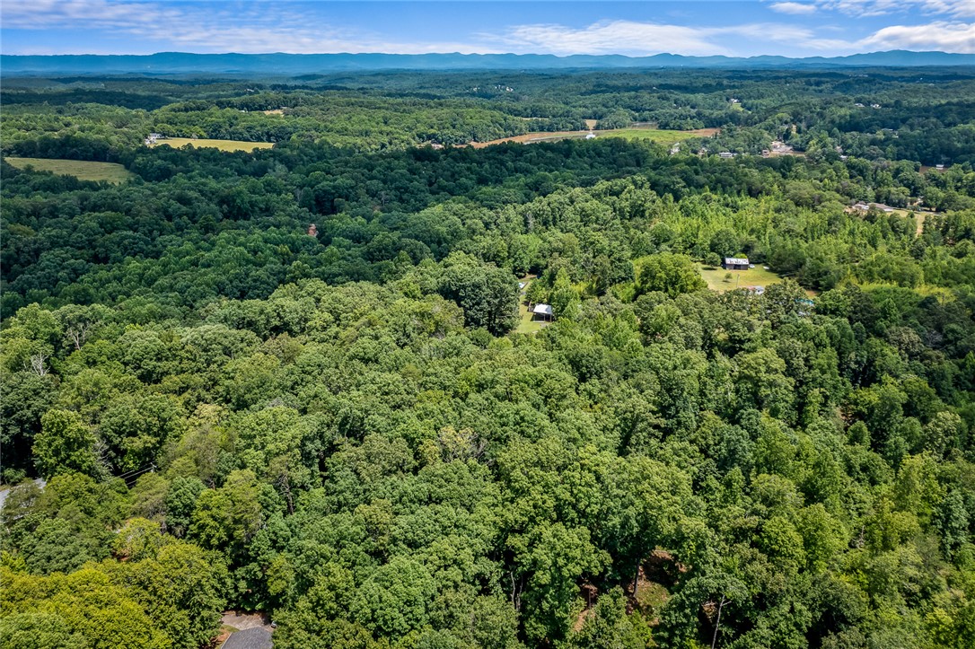 0 Pistol Club Road Easley, SC 29640 - Photo 11 of 15