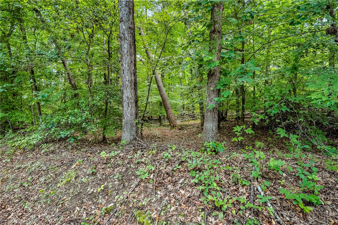 0 Pistol Club Road Easley, SC 29640 - Photo 2 of 15