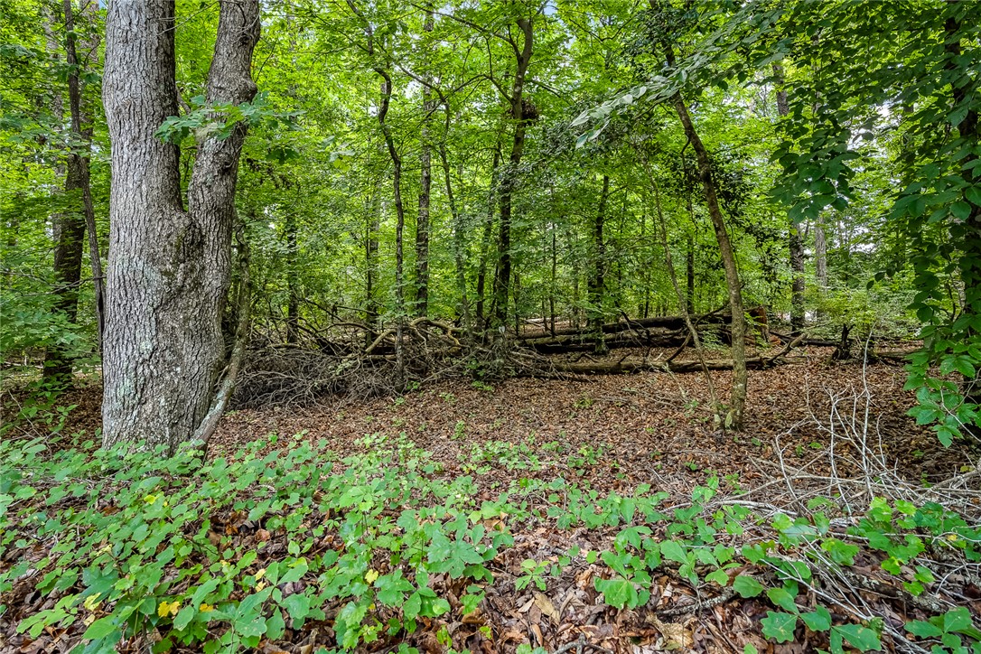 0 Pistol Club Road Easley, SC 29640 - Photo 3 of 15