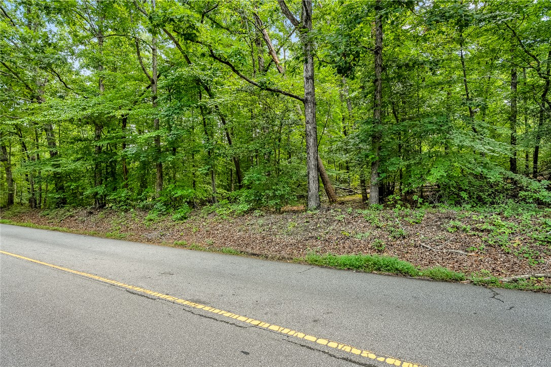 0 Pistol Club Road Easley, SC 29640 - Photo 4 of 15