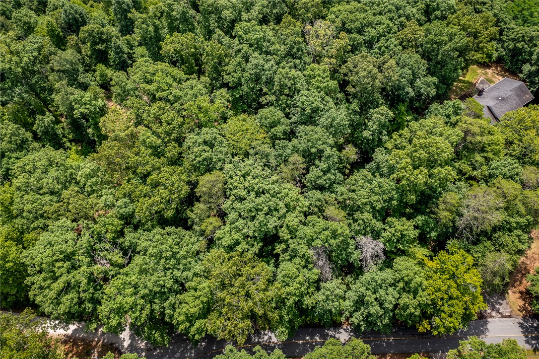 0 Pistol Club Road Easley, SC 29640 - Photo 5 of 15