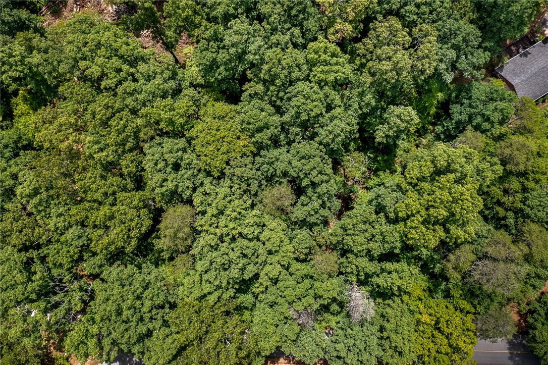 0 Pistol Club Road Easley, SC 29640 - Photo 6 of 15