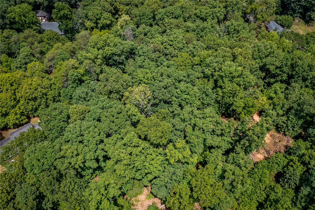 0 Pistol Club Road Easley, SC 29640 - Photo 7 of 15