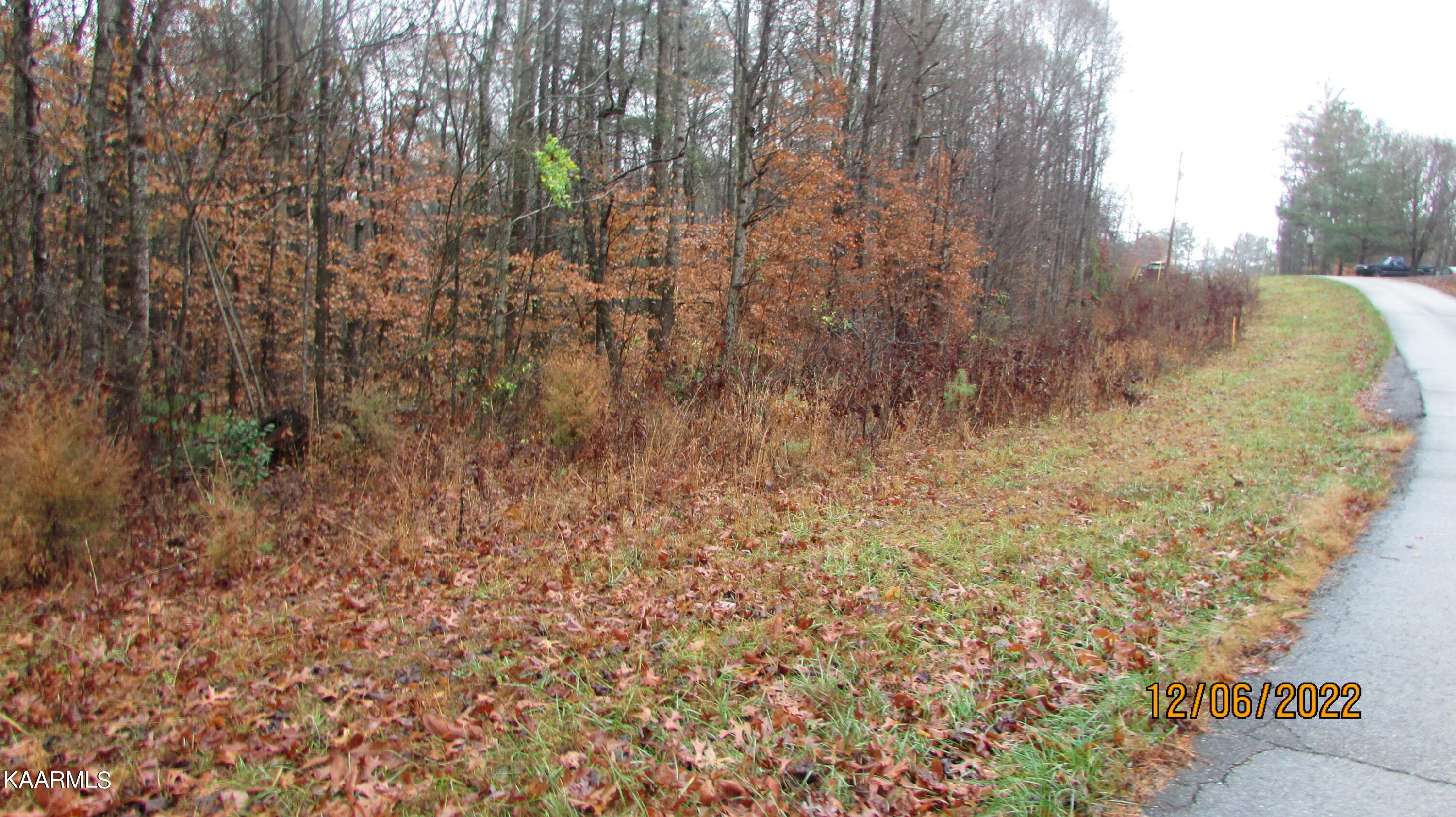 Patton Road Wartburg, TN 37887 - Photo 1 of 6 001